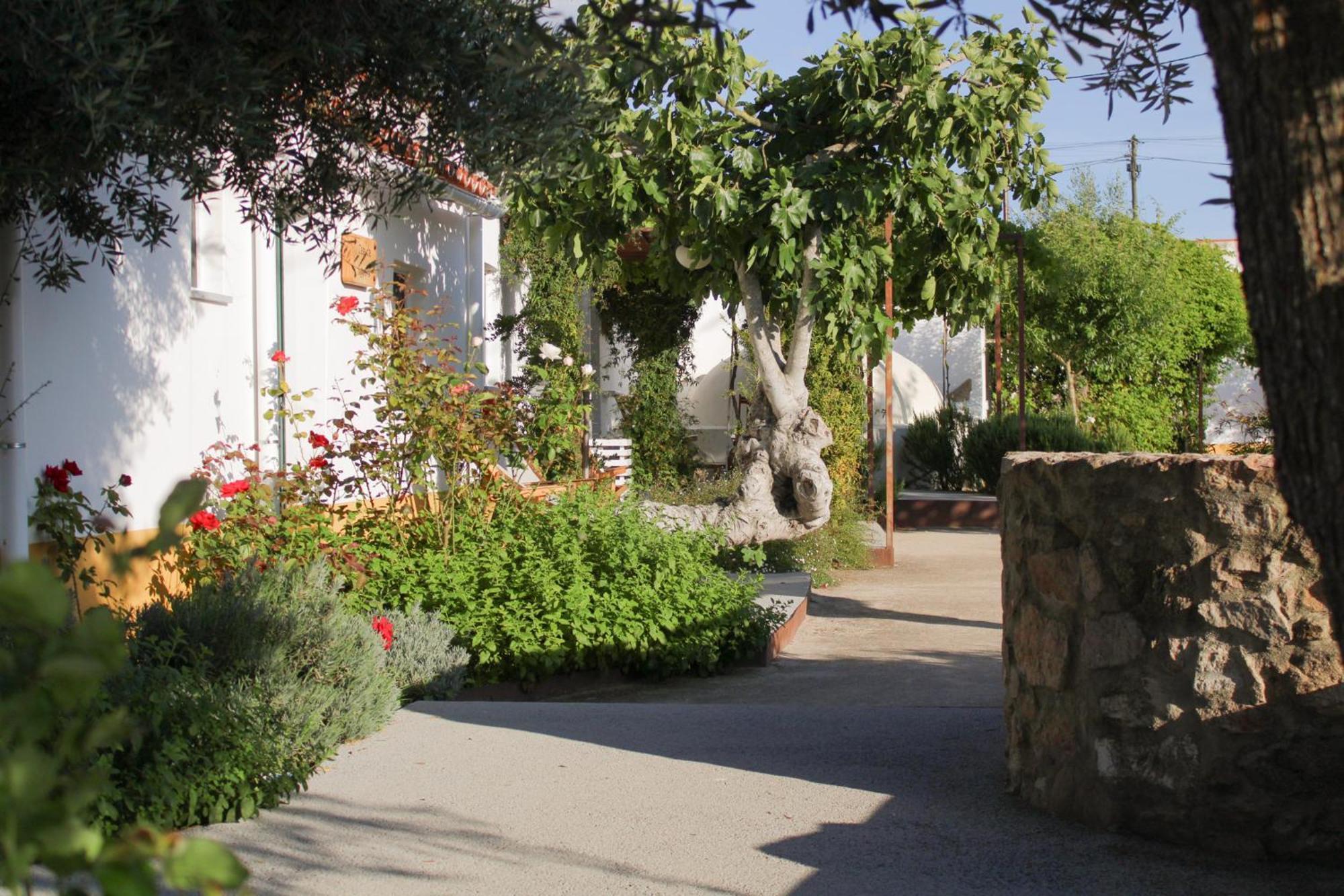 Sao Bras Do Regedouro - Turismo Na Aldeia Villa Evora Exterior photo