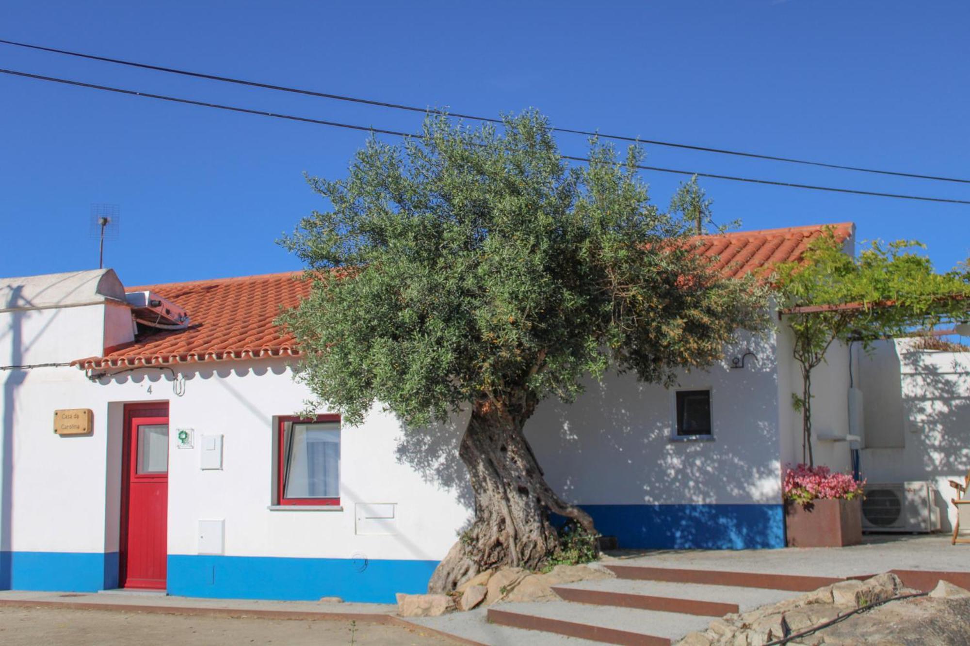 Sao Bras Do Regedouro - Turismo Na Aldeia Villa Evora Exterior photo